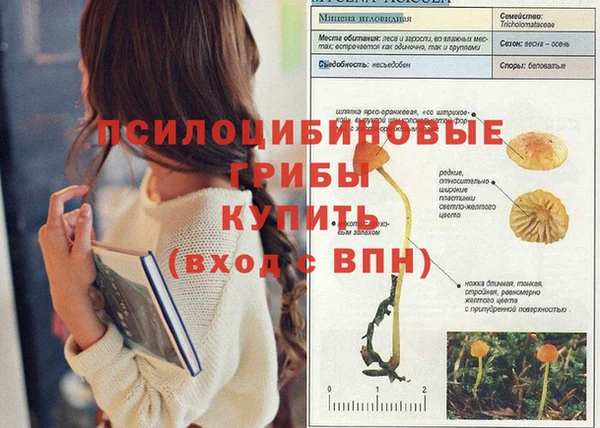 кристаллы Абаза