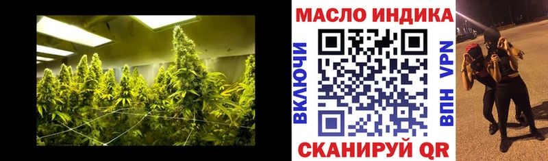ТГК Wax  Тетюши 