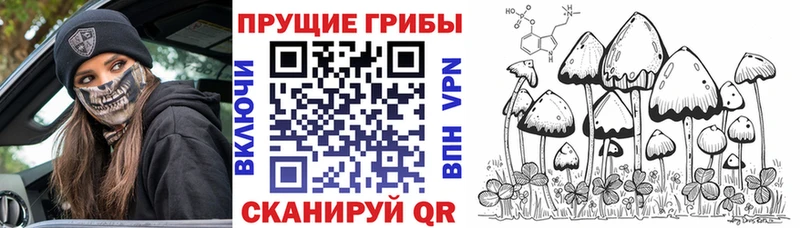 Галлюциногенные грибы Cubensis  Тетюши 